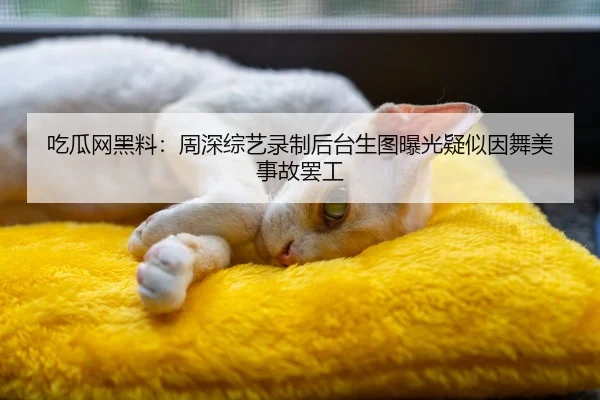 吃瓜网黑料：周深综艺录制后台生图曝光疑似因舞美事故罢工